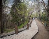 پارک طالقانی تهران پارک طالقانی تهران