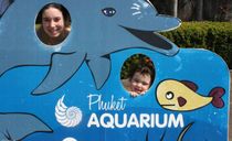 آکواریوم پوکت آکواریوم پوکت