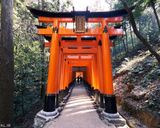 معبد فوشیمیایناری معبد فوشیمیایناری