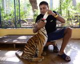 باغ وحش ببرهای پوکت باغ وحش ببرهای پوکت