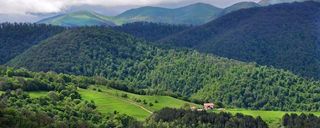 پارک ملی دیلیجان پارک ملی دیلیجان