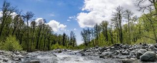 پارک ملی لاگودخی گرجستان پارک ملی لاگودخی گرجستان