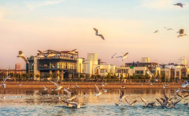 مرکز خرید بام لند مرکز خرید بام لند