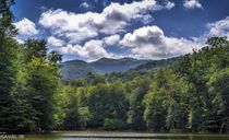 پارک ملی دیلیجان پارک ملی دیلیجان