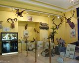 موزه تاریخ طبیعت و حیات وحش ایران موزه تاریخ طبیعت و حیات وحش ایران