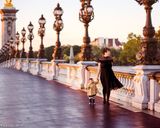 پل الکساندر سوم پاریس پل الکساندر سوم پاریس