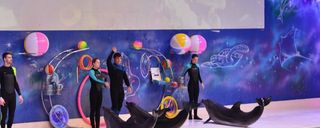 دلفیناریوم دبی دلفیناریوم دبی