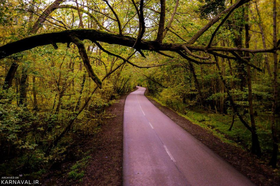 پارک جنگلی نور | Photo by : Sirous Abdoli