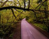 پارک جنگلی نور پارک جنگلی نور