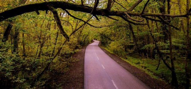 معرفی /پارک جنگلی نور مازندران | تفریح در طبیعت شمال ایران پارک جنگلی نور | Photo by : Sirous Abdoli