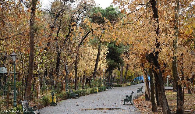 پارک شهر تهران | Photo by : Shayan Mehrabi