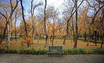 پارک شهر پارک شهر