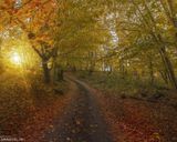 پارک ملی دیلیجان پارک ملی دیلیجان