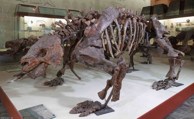 موزه پالئونتولوژی مسکو موزه پالئونتولوژی مسکو