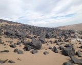 دشت لوت دشت لوت