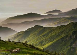 جنگل ابر شاهرود جنگل ابر شاهرود