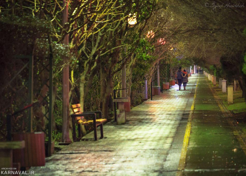 بلوار کشاورز