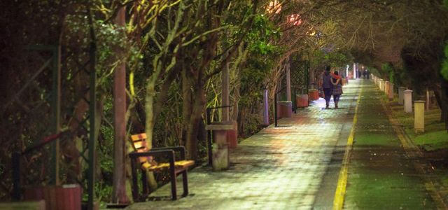 بلوار کشاورز