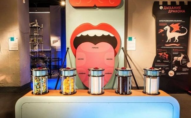 موزه سیستم بدن انسان زنده موزه سیستم بدن انسان زنده