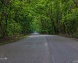 پارک جنگلی نور پارک جنگلی نور