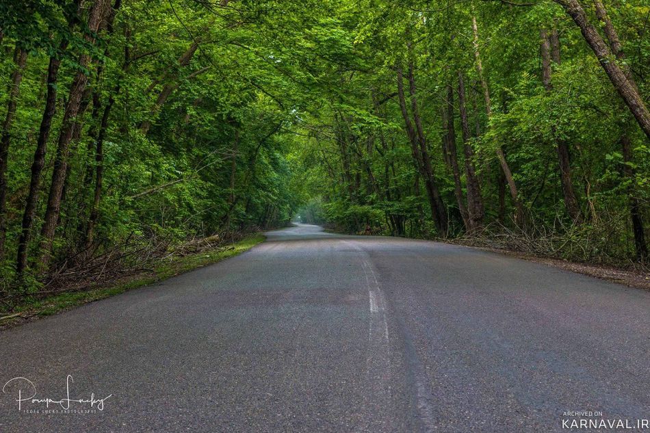 معرفی /پارک جنگلی نور مازندران | تفریح در طبیعت شمال ایران پارک جنگلی نور | Photo by : Unknown