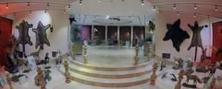 موزه تاریخ طبیعت و حیات وحش ایران موزه تاریخ طبیعت و حیات وحش ایران