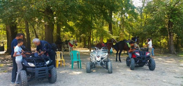 معرفی /پارک جنگلی نور مازندران | تفریح در طبیعت شمال ایران پارک جنگلی نور | Photo by : Unknown