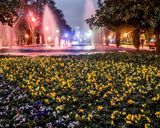 پارک شهر تهران پارک شهر تهران