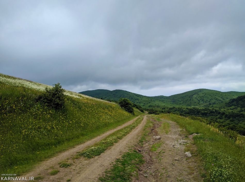 جنگل فندقلو اردبیل | Photo by : Unknown