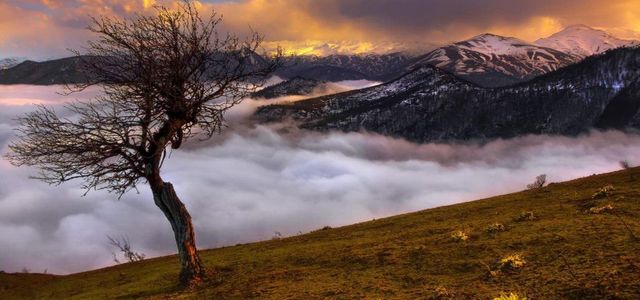 اسالم به خلخال