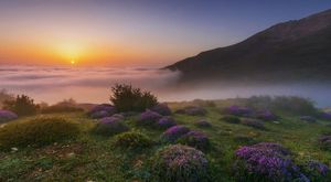 ییلاق فیلبند ییلاق فیلبند