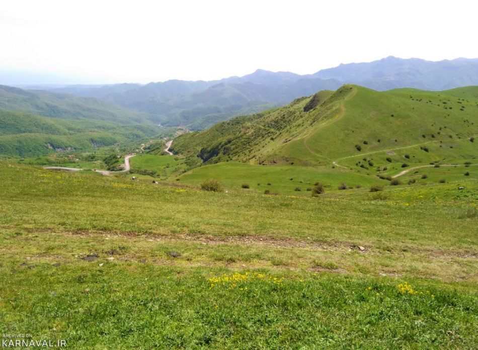جنگل فندقلو نمین