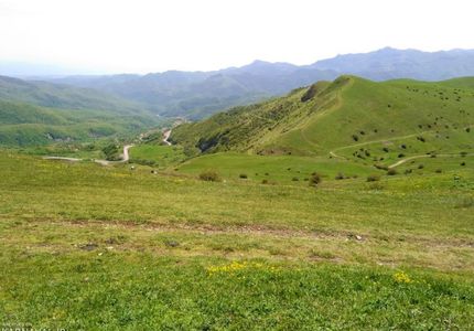 جنگل فندقلو نمین جنگل فندقلو | Photo by : Unknown