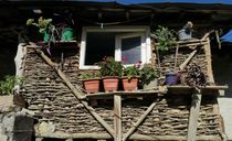 روستای زیارت روستای زیارت