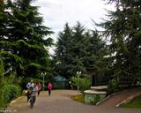 موزه تاریخ طبیعت و حیات وحش ایران موزه تاریخ طبیعت و حیات وحش ایران