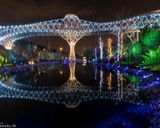 پل طبیعت در شب پل طبیعت در شب