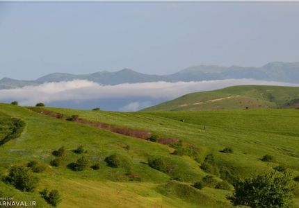 جنگل فندقلو نمین جنگل فندقلو | Photo by : Unknown