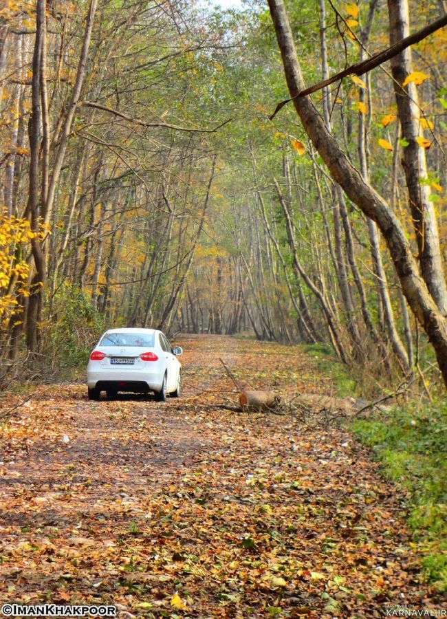 پارک جنگلی نور | Photo by : Unknown