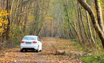 پارک جنگلی نور پارک جنگلی نور