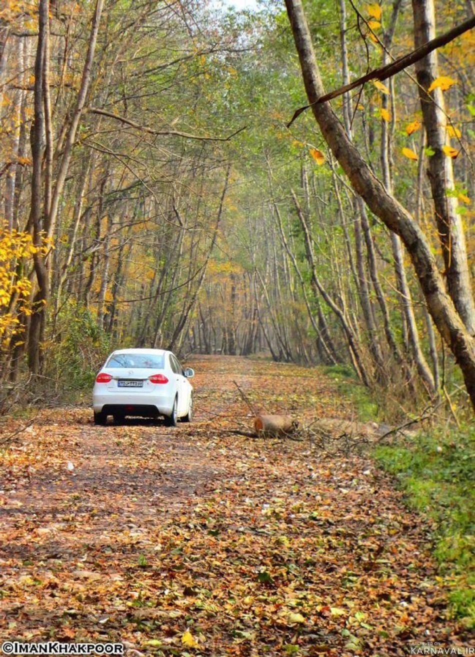 معرفی /پارک جنگلی نور مازندران | تفریح در طبیعت شمال ایران پارک جنگلی نور | Photo by : Unknown