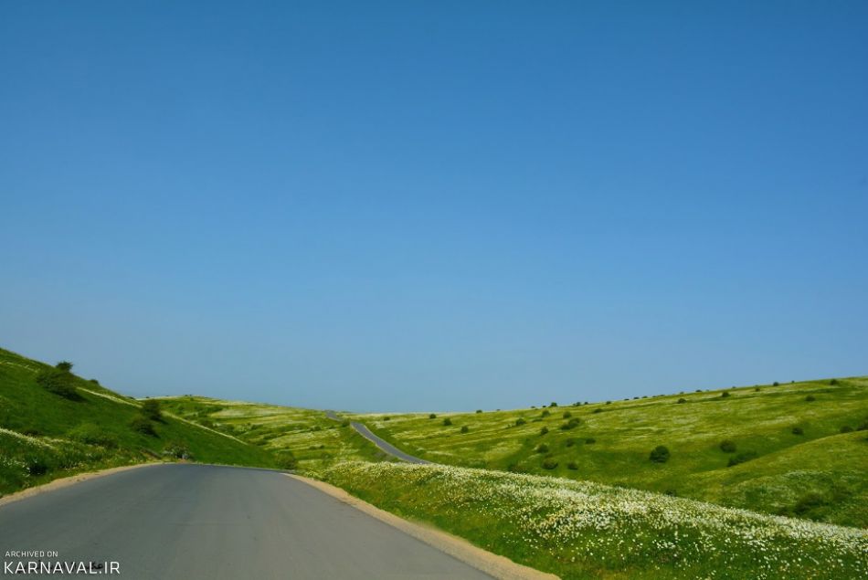 جنگل فندقلو اردبیل | Photo by : Unknown