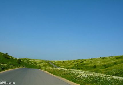 جنگل فندقلو نمین جنگل فندقلو اردبیل | Photo by : Unknown