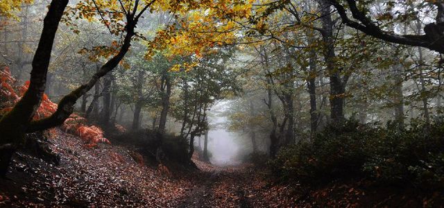 اسالم به خلخال