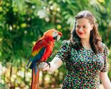 باغ پرندگان کوالالامپور باغ پرندگان کوالالامپور