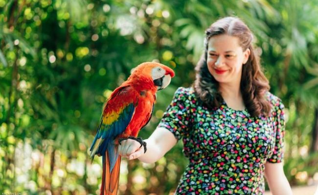 باغ پرندگان کوالالامپور باغ پرندگان کوالالامپور