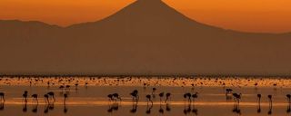 تالاب میانکاله تالاب میانکاله