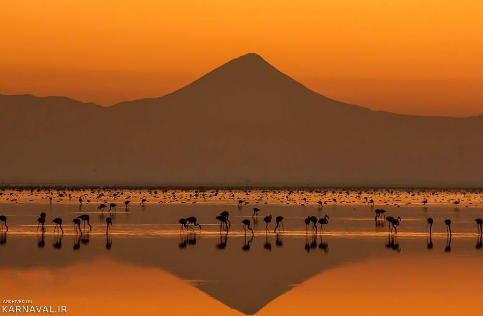 تالاب میانکاله