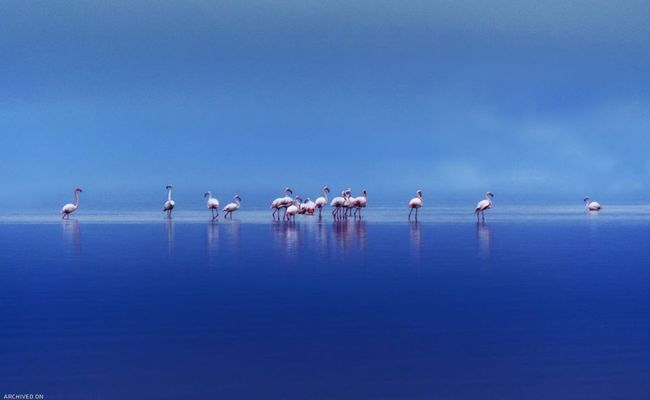 تالاب میانکاله تالاب میانکاله