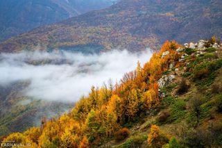 منطقه جهان نما