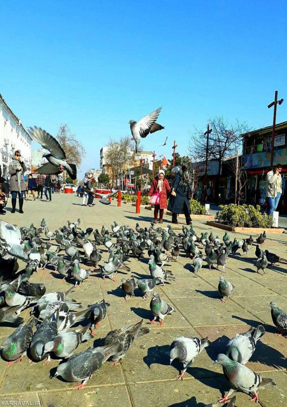 میدان شهرداری